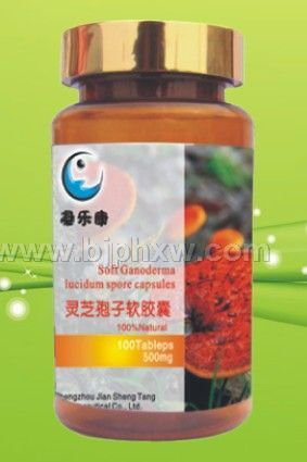 ��֥���ӷ������� 500mg��100��