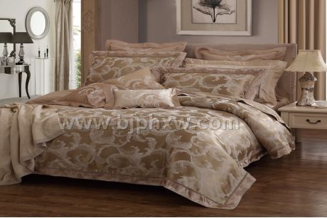 ˹ά��˯��ϵͳ