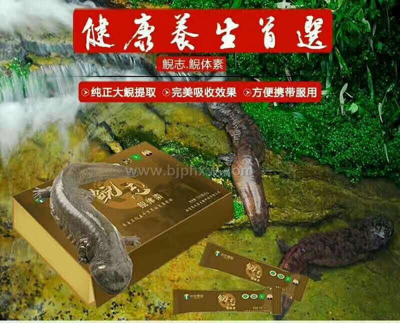 ��־.������