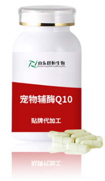���︨øQ10���Դͷ��������OEM