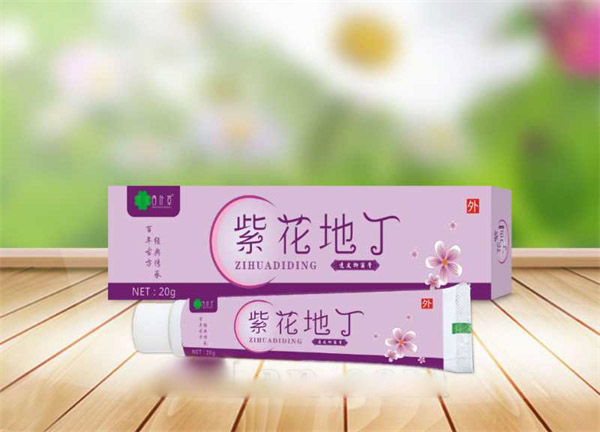 紫花地丁
