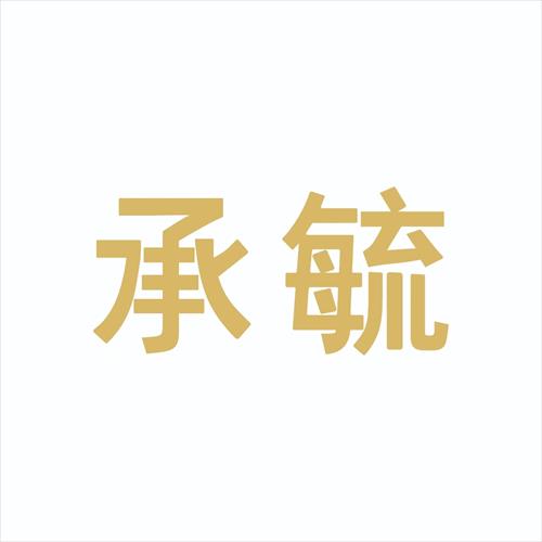 ���ϳ�عҽ����е���޹�˾���ķ�